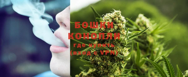 прущие грибы Лихославль