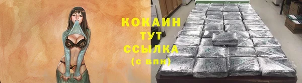 прущие грибы Лихославль