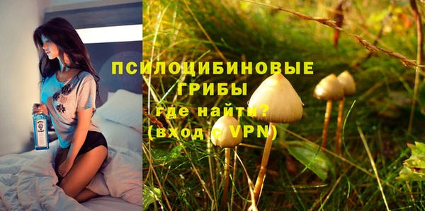 стафф Лабытнанги