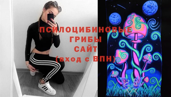 прущие грибы Лихославль