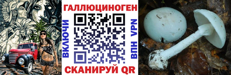 Псилоцибиновые грибы ЛСД  shop какой сайт  Орск 