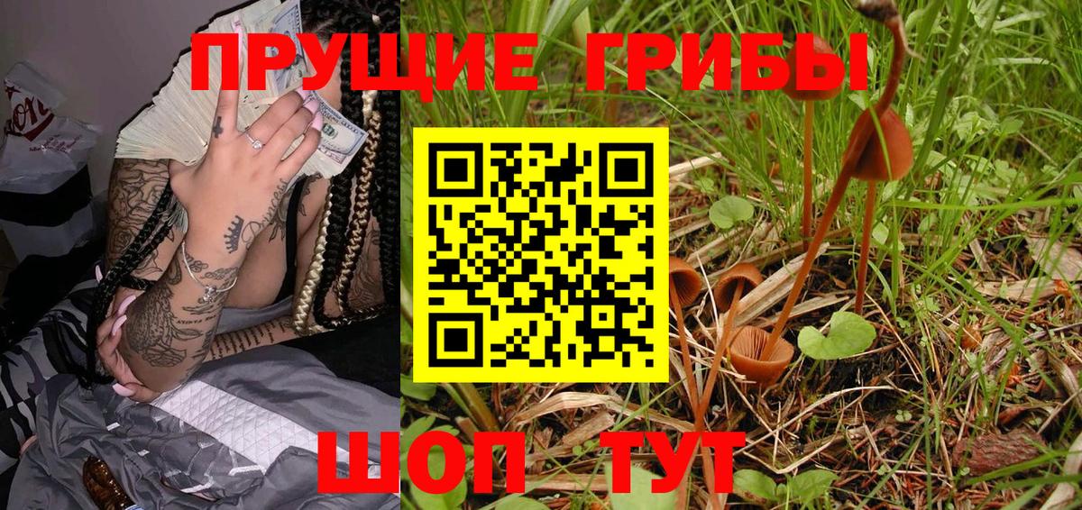 Галлюциногенные грибы Cubensis Орск