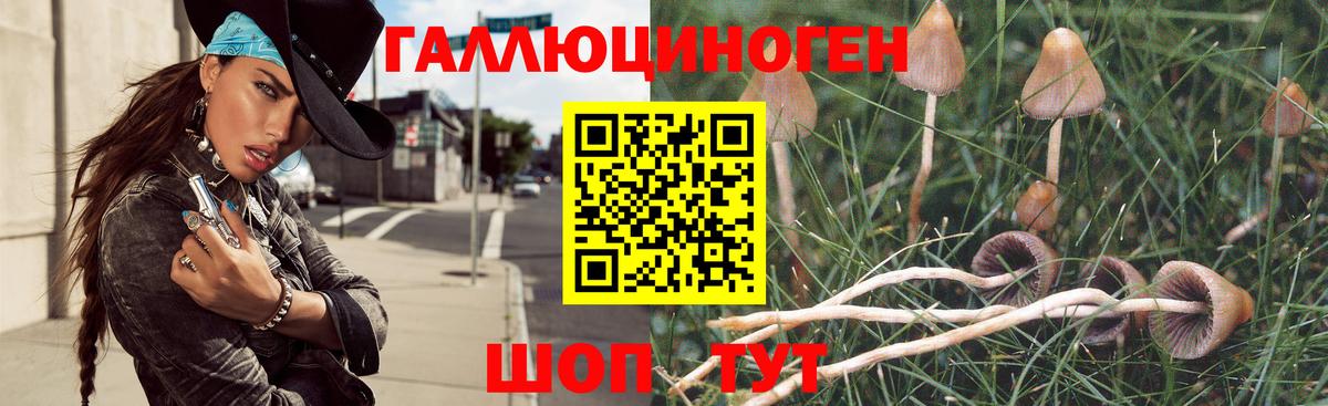 Псилоцибиновые грибы Psilocybe  Вход с VPN  Орск 